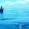 wasini-island