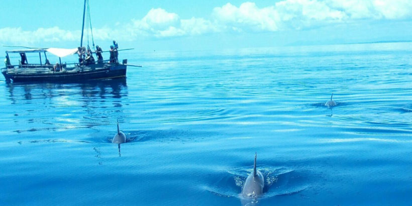 wasini-island